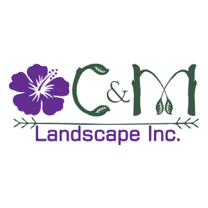 CM Landscape