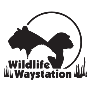 Wildlife Waystation